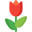 Mi Tesser logo