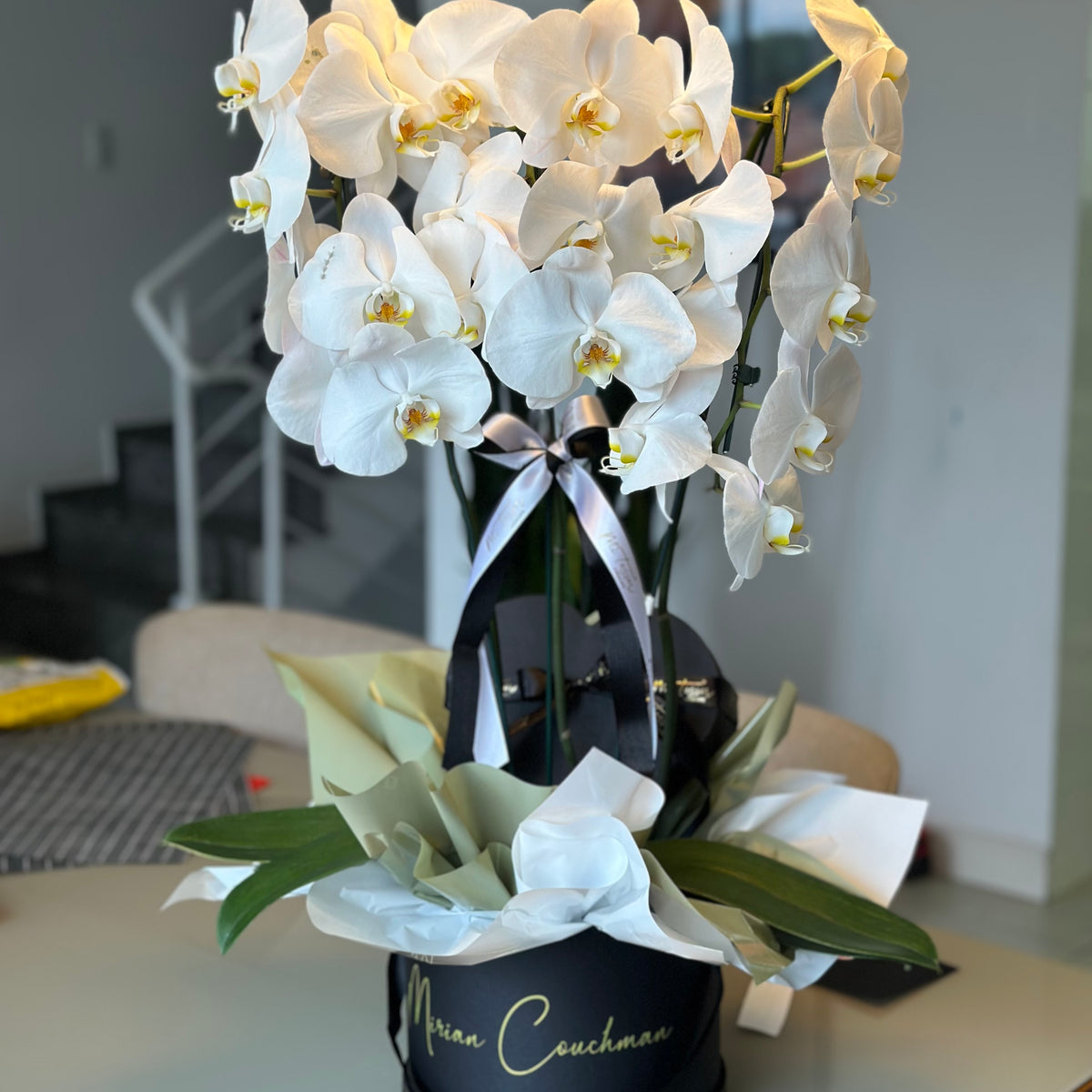 Orquídea cascata na box