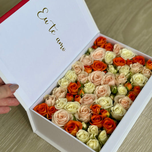 Box livro surpresa